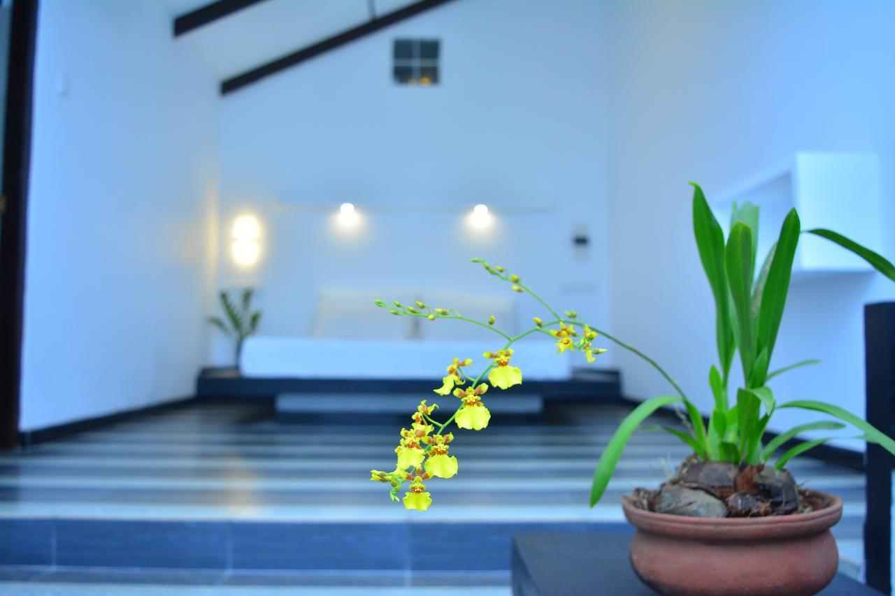 Midigama Holiday Inn Esterno foto